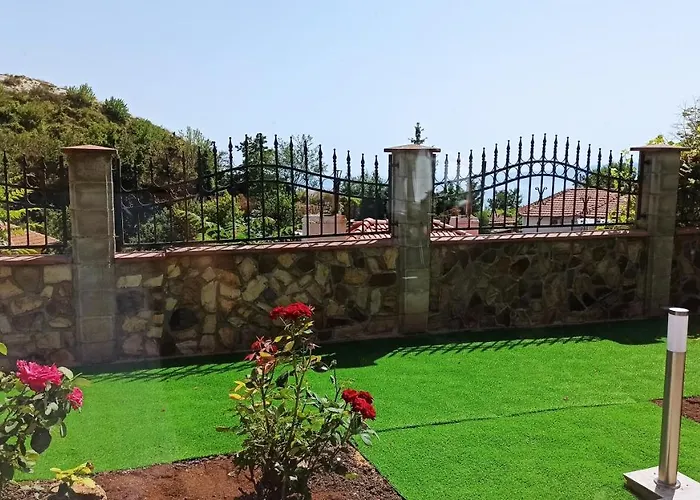 Arode Ovidius - 발치크