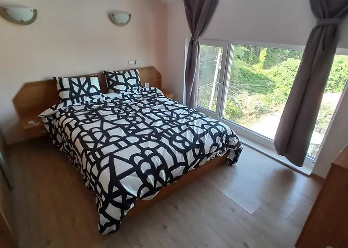 Arode Ovidius - 발치크