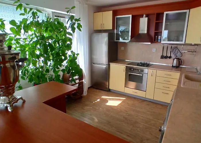 Arode Ovidius - * 발치크