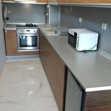 Arode Ovidius - Balcsik