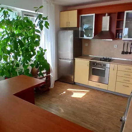 Arode Ovidius - * Balcsik