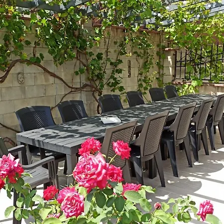 Arode Ovidius - * Balcsik